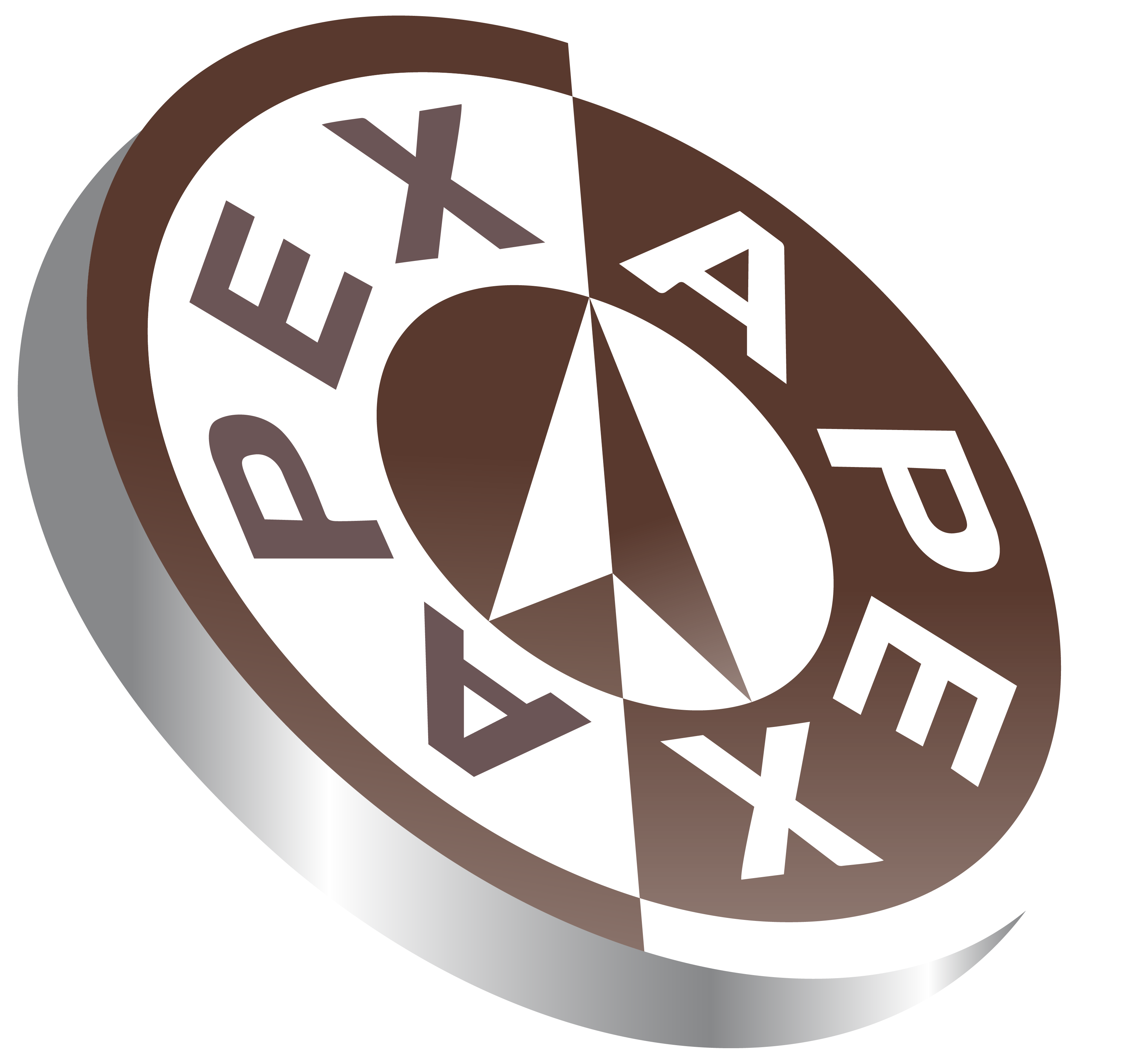 Apex Limo | Fleet